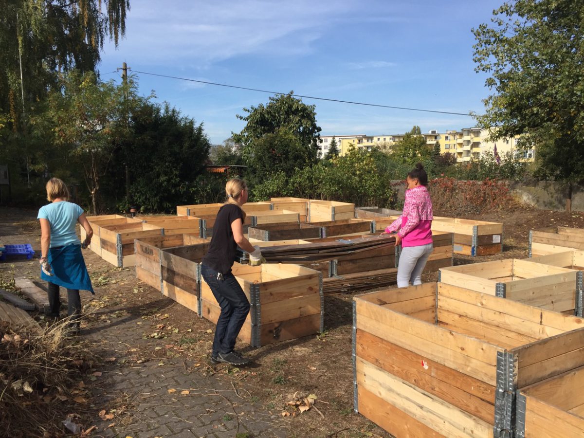 Urban Gardening gedeiht im WestkreuzGarten – Dank Förderung der Anstiftung